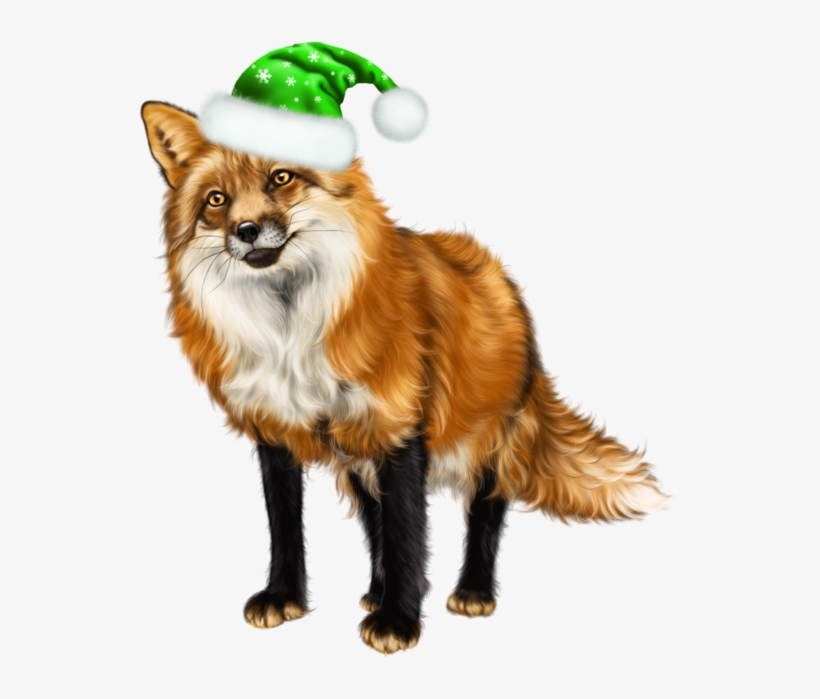 And Girl X Kb Animal Foxandgirl - Red Fox, transparent png