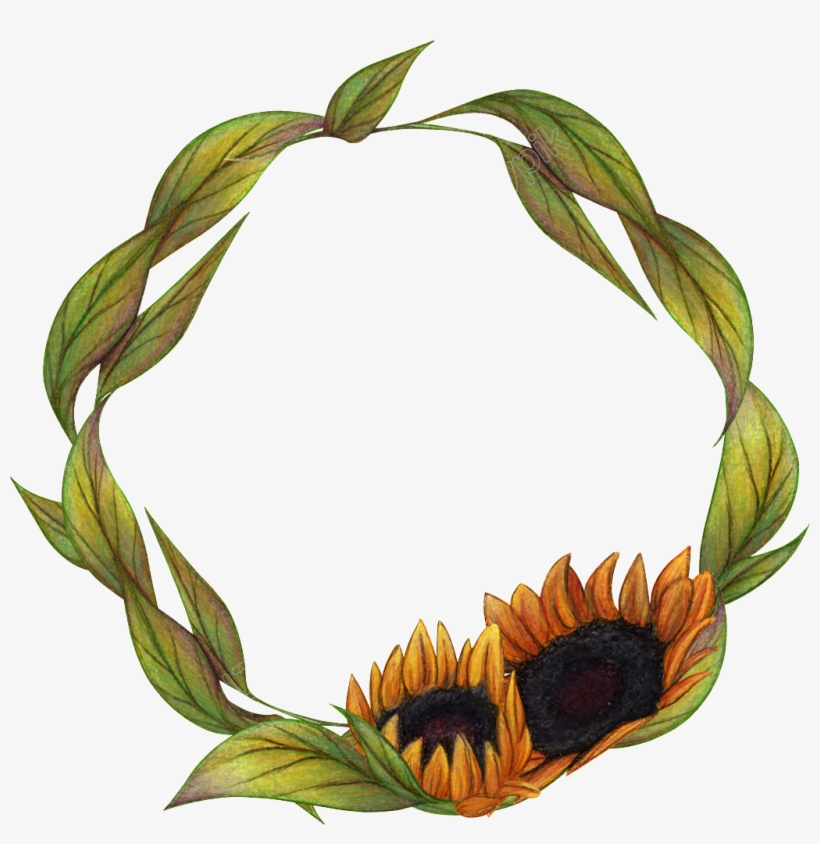 Sunflower Vector Wreath, transparent png