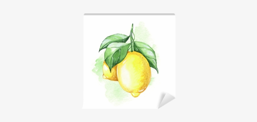 Watercolor Illustration - Limones Acuarelas, transparent png