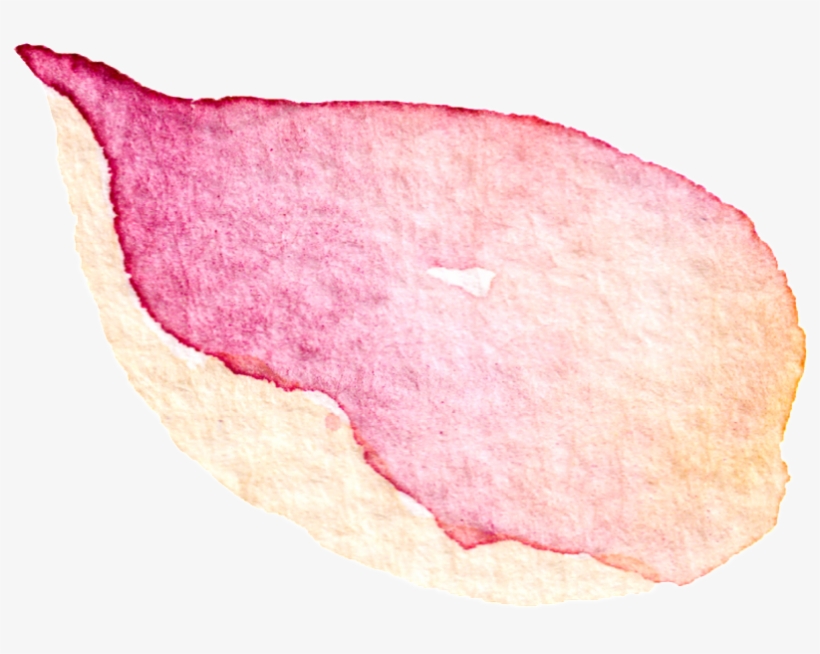 This Graphics Is Falling Petals Transparent Decorative - Watercolor Painting, transparent png