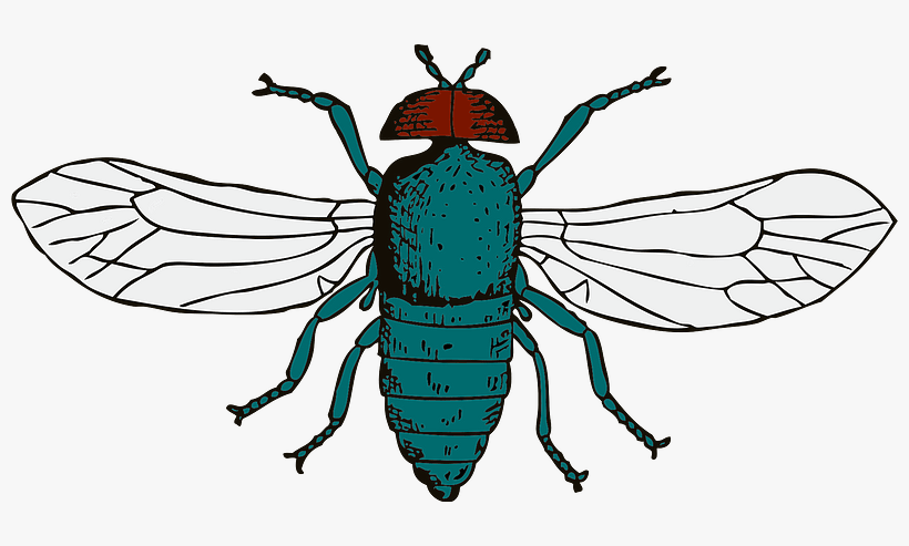 Fly Svg Clip Arts 600 X 310 Px, transparent png