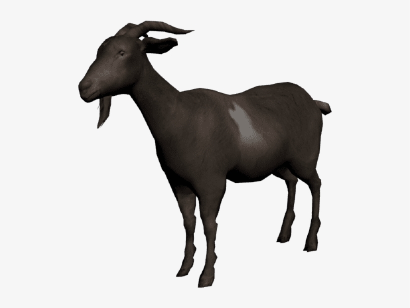 Free Png Goat Photo Png Images Transparent - Red Dead Redemption Goat, transparent png