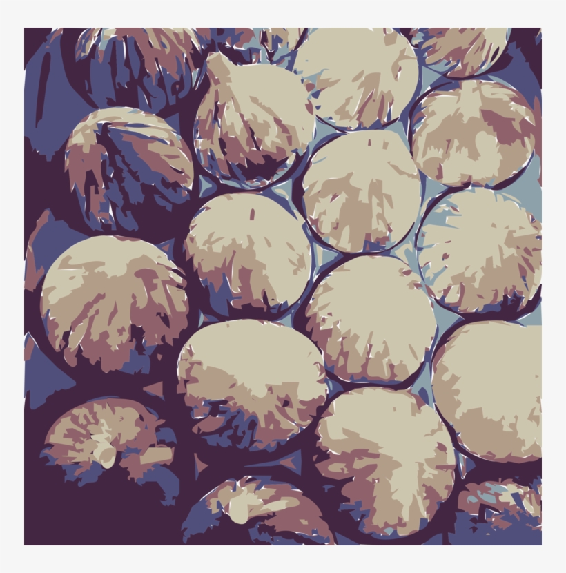 Common Fig Bourjassotte Noire Watercolor Painting Document - Common Fig, transparent png
