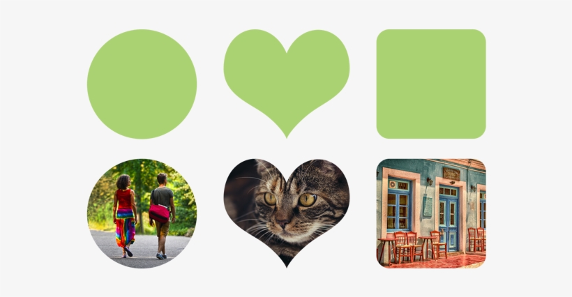 But In This Tutorial Series, I'll Be Talking About - Tabby Cat, transparent png