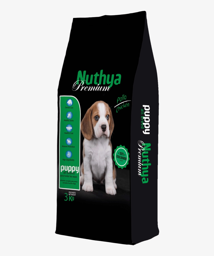Nuthya Premium Puppy Nugape - Dog, transparent png