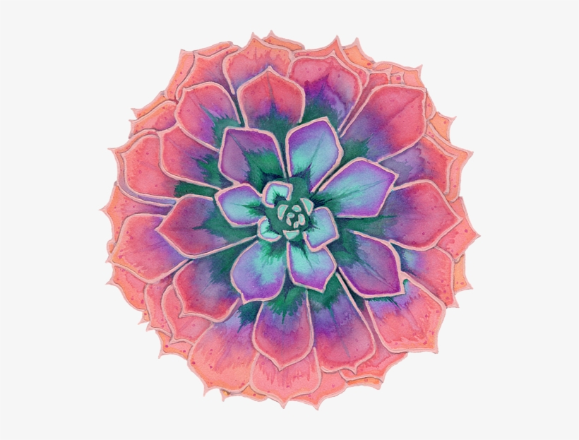 Click And Drag To Re-position The Image, If Desired - Succulent Plant, transparent png
