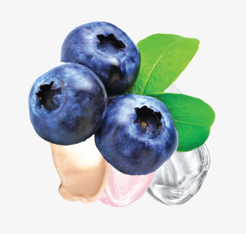 Files/slider Tile Blueberry - Sisu Calcium & Magnesium Citrates (blueberry Parfait, transparent png