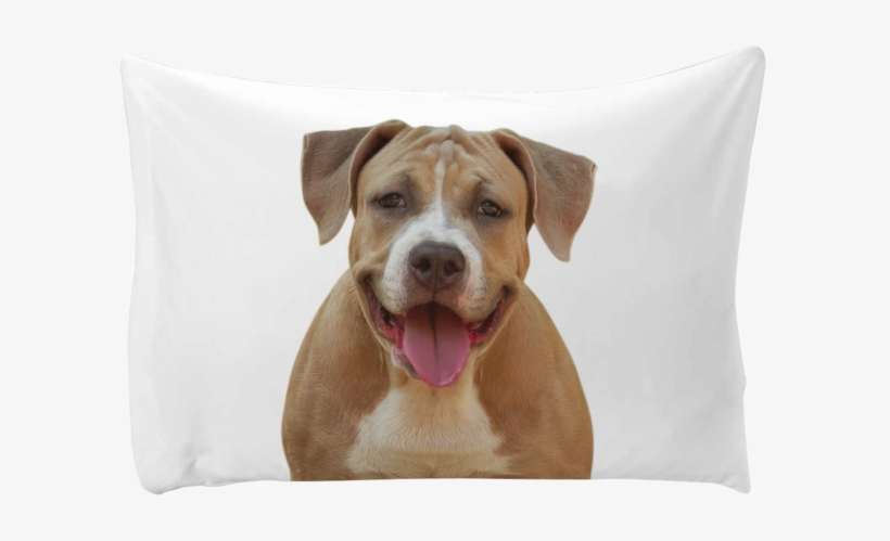 Personalized Pillow Case - Dog, transparent png