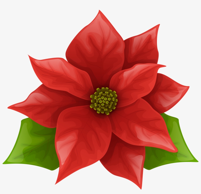Png Free Stock Christmas Poinsettia Clipart, transparent png