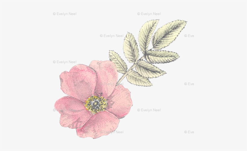 Watercolor Painting, transparent png