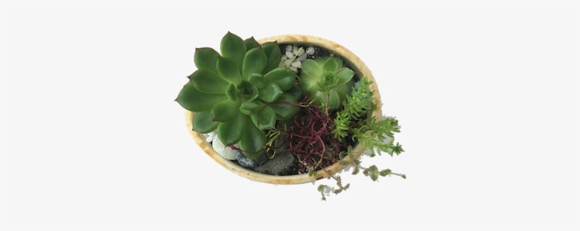 This Is Some Of My Work - Moss, transparent png