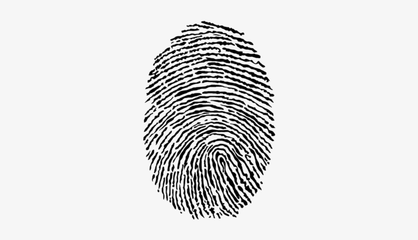 Small Business Branding - Am One With Evm, transparent png
