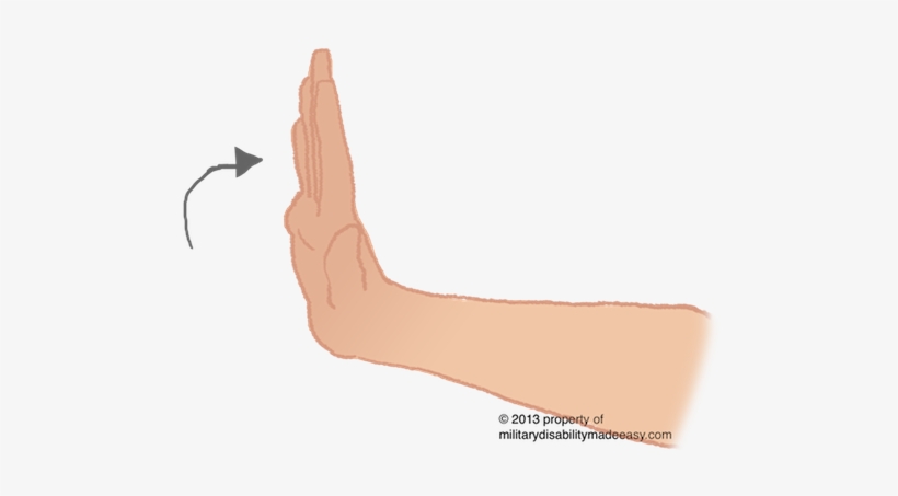 Upper Nerve 26 - Portable Network Graphics, transparent png