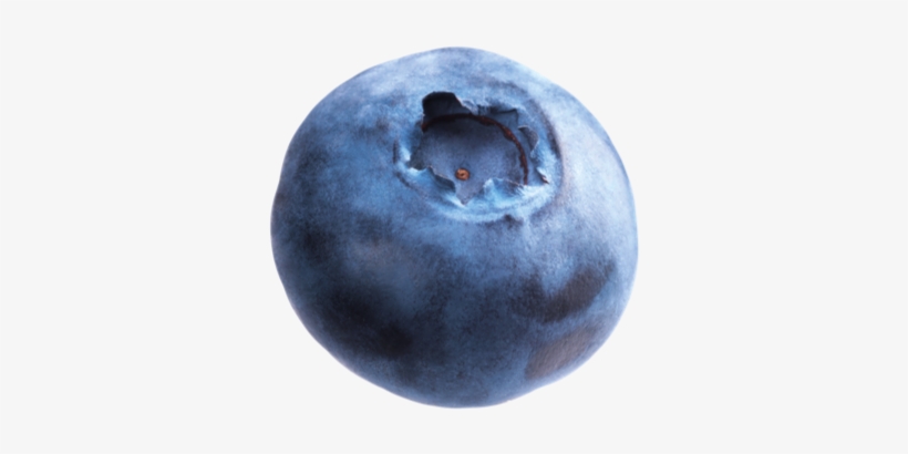 Blueberries Transparent Images - Huckleberry, transparent png