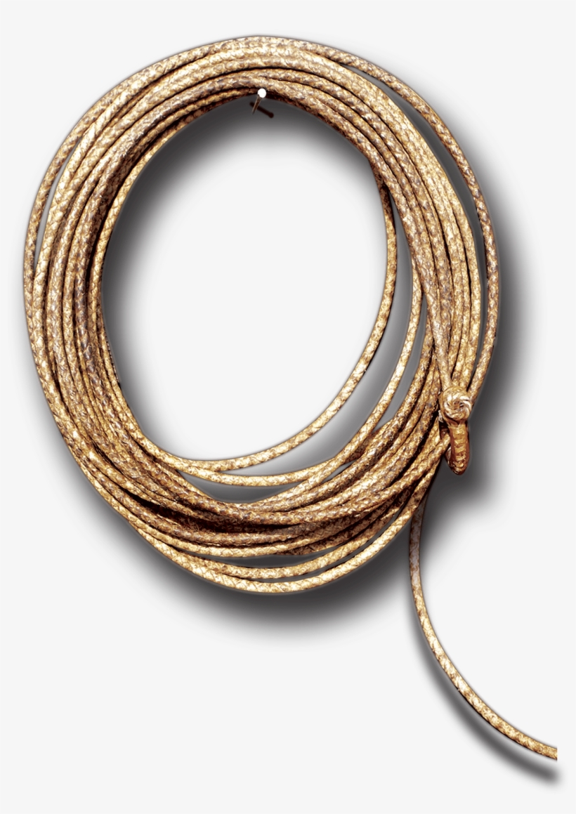 The Cowboys, transparent png