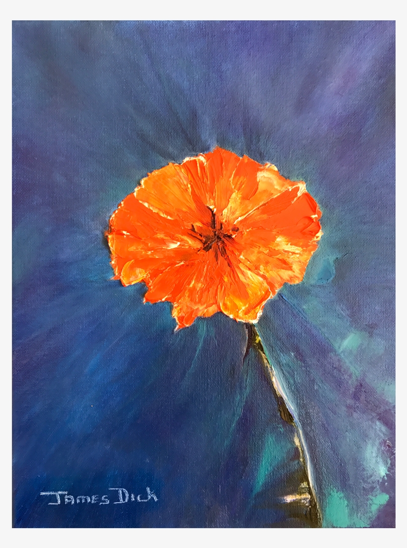 “kallstroemia Grandiflora / Arizona Poppy” By James - Painting, transparent png