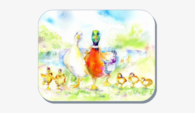Duck, transparent png