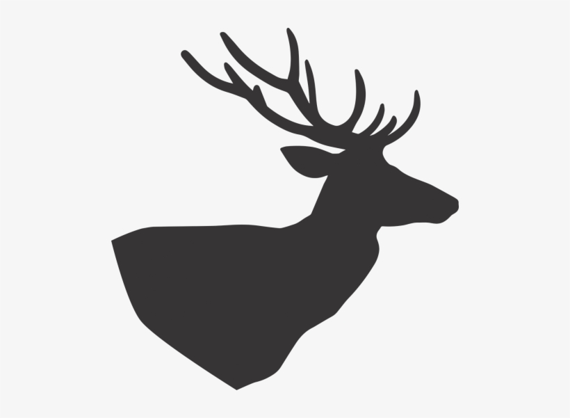 Deer,deer - Deer, transparent png