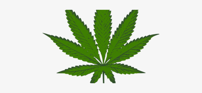 Legal High - Weed Black And White, transparent png