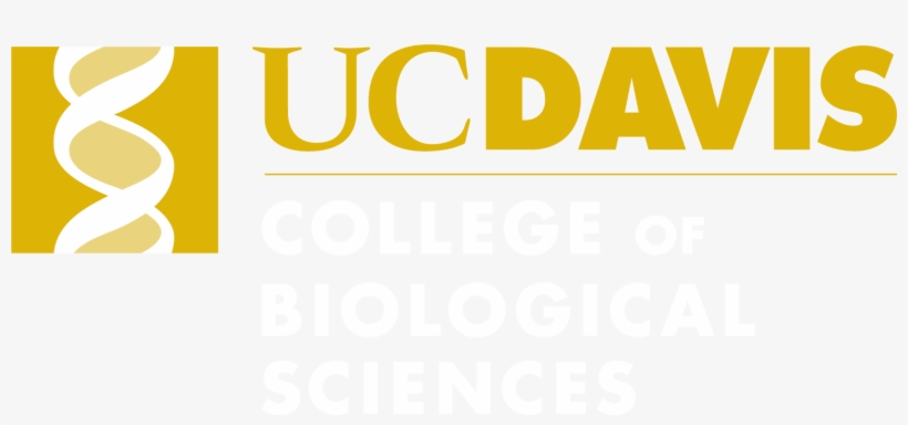 Cbs Logo - Noah De Guzman Uc Davis, transparent png