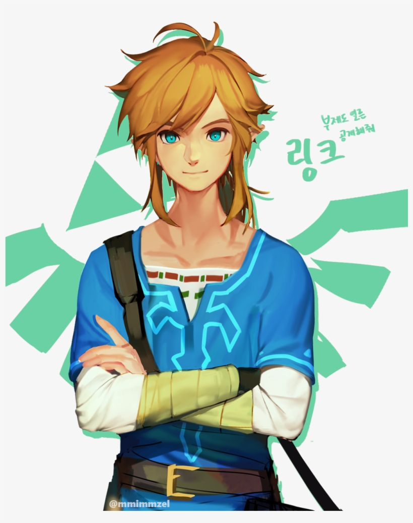 I Know You Do A Lot Of Drawing Requests - Breath Of The Wild Link, transparent png