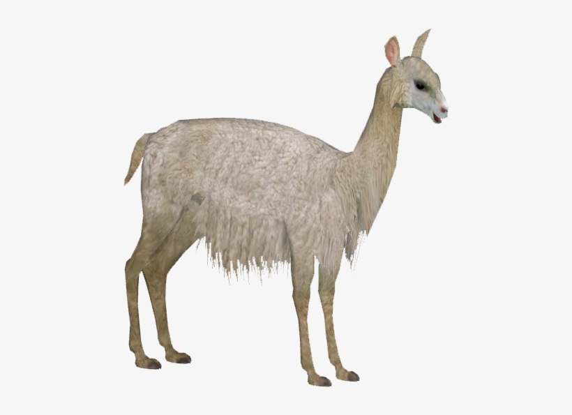 Alpaca - Zoo Tycoon 2 Alpaca, transparent png