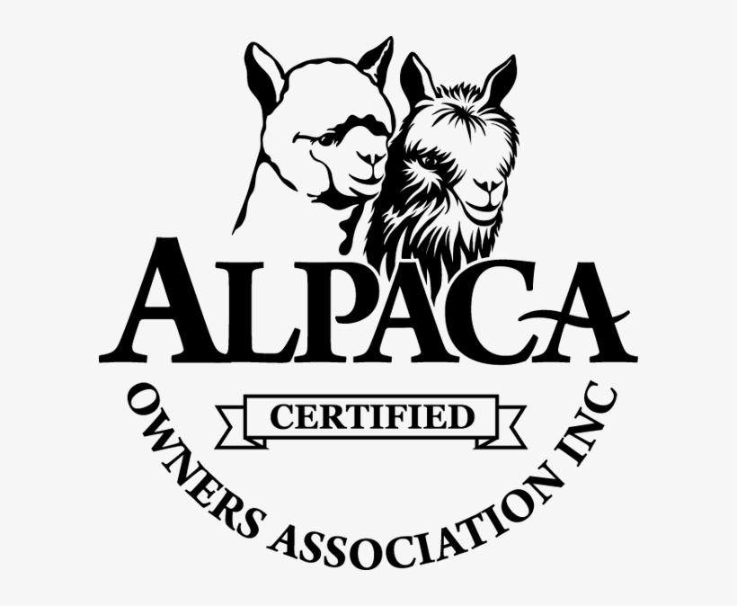 Aoa Certified Ribbon 600 Px - Jpeg, transparent png
