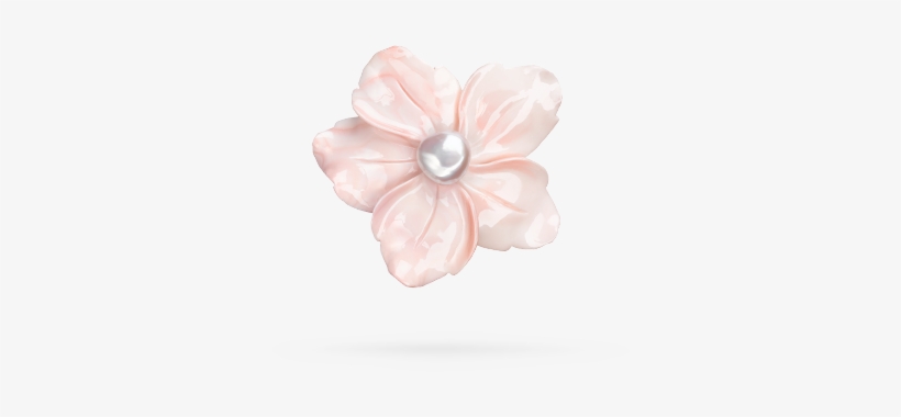 Impatiens, transparent png