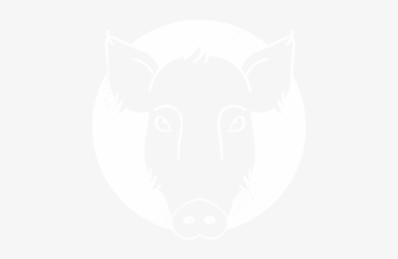 The Pioneer, transparent png