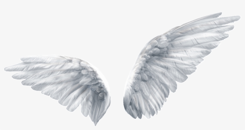 Pintado A Mano De Un Par De Alas Png Transparente - Butterfly Angel Wing, transparent png