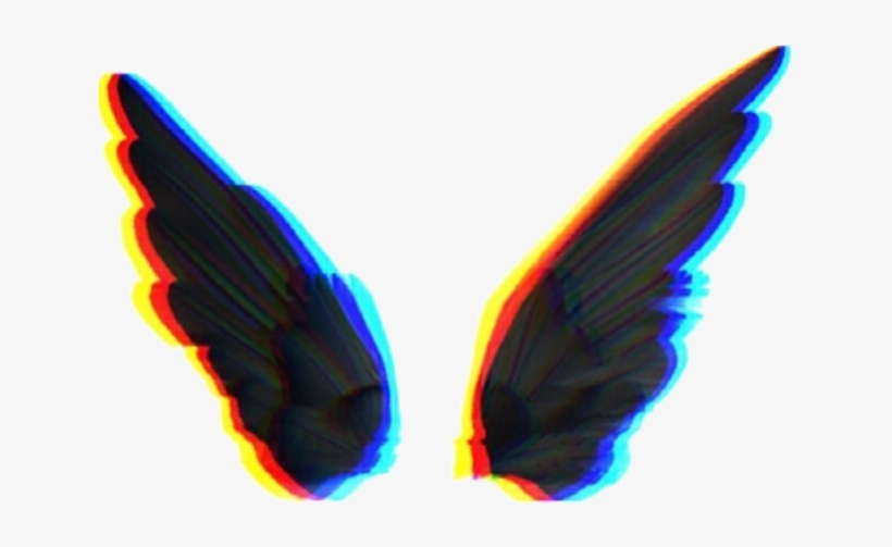 Insect, transparent png
