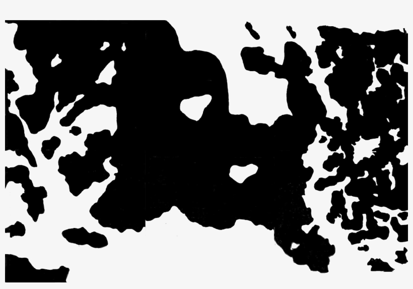The Image Above Is Not Part Of The Rorschach Test - Optical Illusions Ink Blot, transparent png