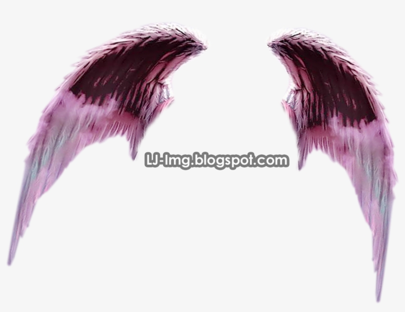 No Son La Gran Elegancia Pero De Seguro Pueden Servirte - Supernatural Creature, transparent png