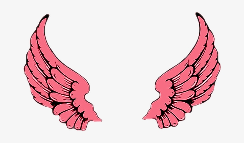 Report Abuse - Png Wings, transparent png