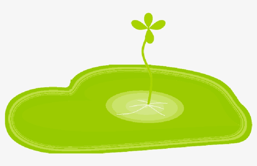 Mb Image/png, transparent png