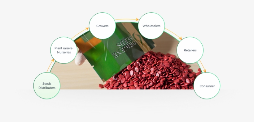 Assuring Top Quality Throughout All Product Cycles - Diagram, transparent png