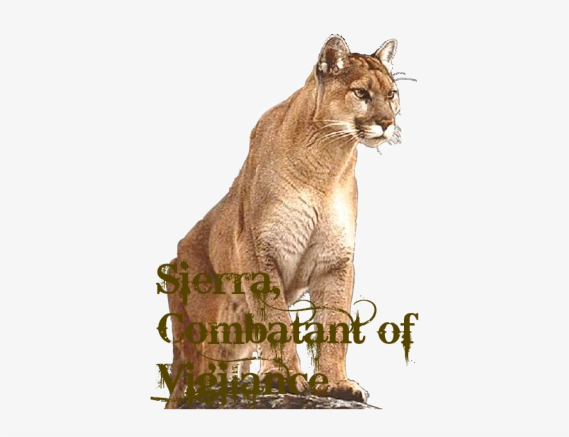 Header Cougar - Puma, transparent png