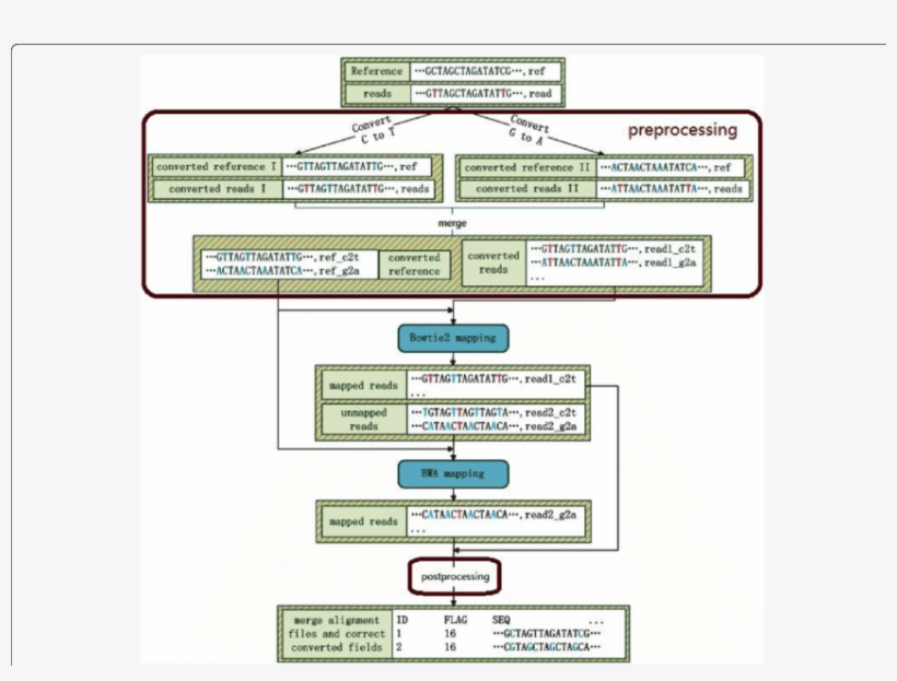 Schematic Diagrams Of Valibs - Common Fig, transparent png