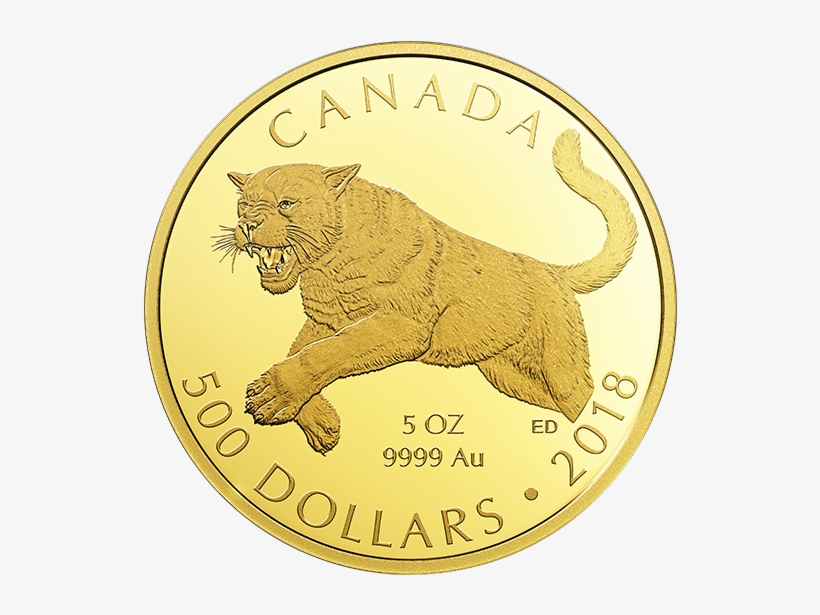 Pure Gold Coin - Gold, transparent png