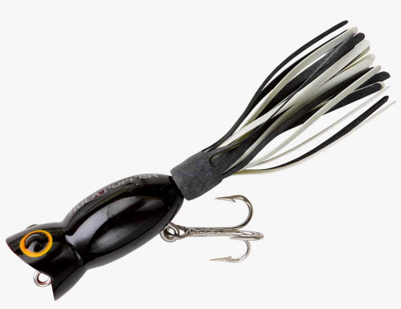 From The Manufacturer - Popping Lure Fishing, transparent png