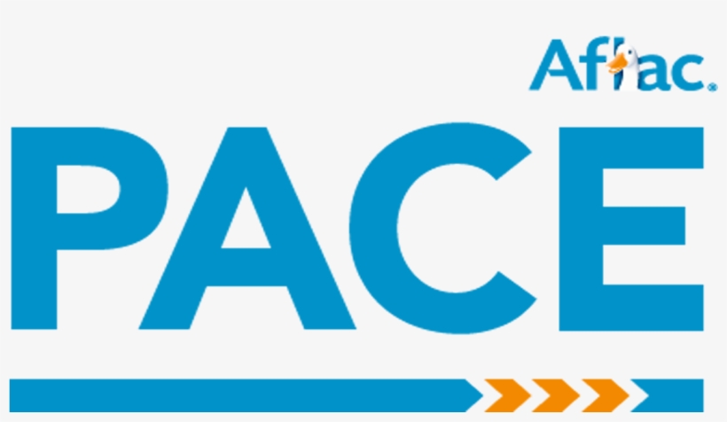 Tennessee Has Back To Back Pace Cup Victories, transparent png