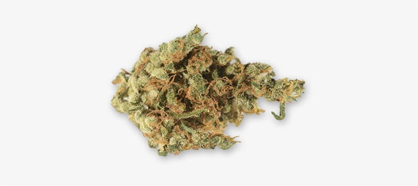 Bg Money'$ Pug Life - Cannabis, transparent png