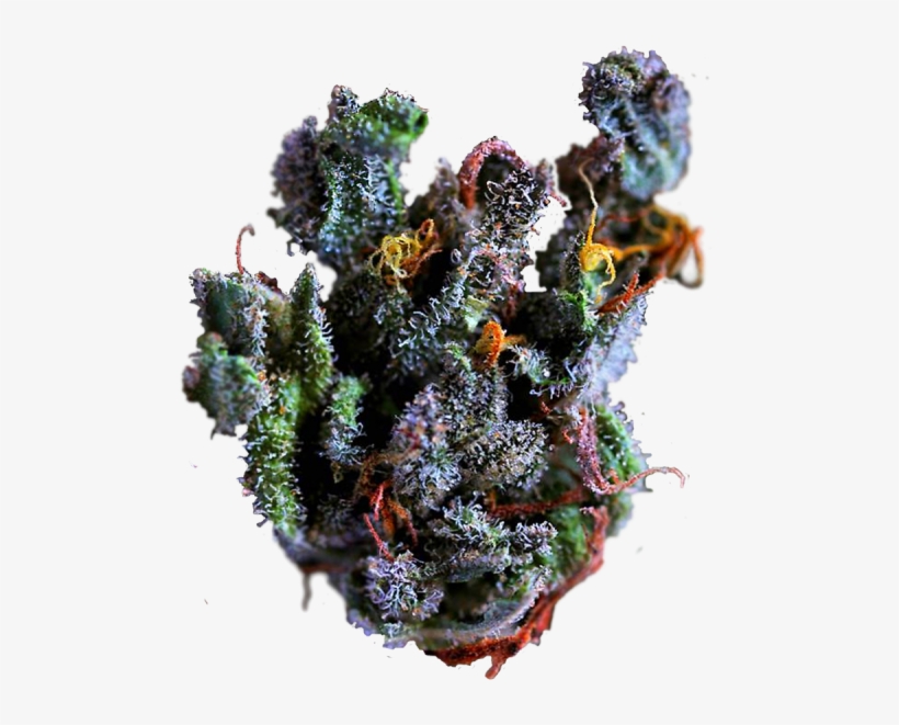 Fruity Pebbles On Tumblr Weed Nug Png - Close Up Marijuana Bud, transparent png