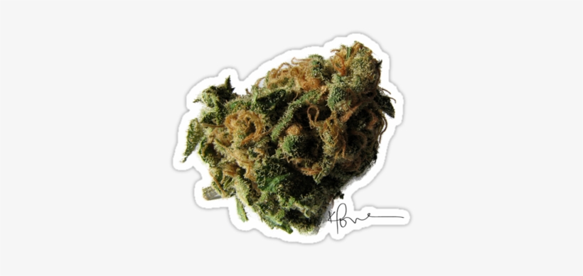 "marijuana Nugget" Stickers By Kenneth Love - Skydog Weed, transparent png