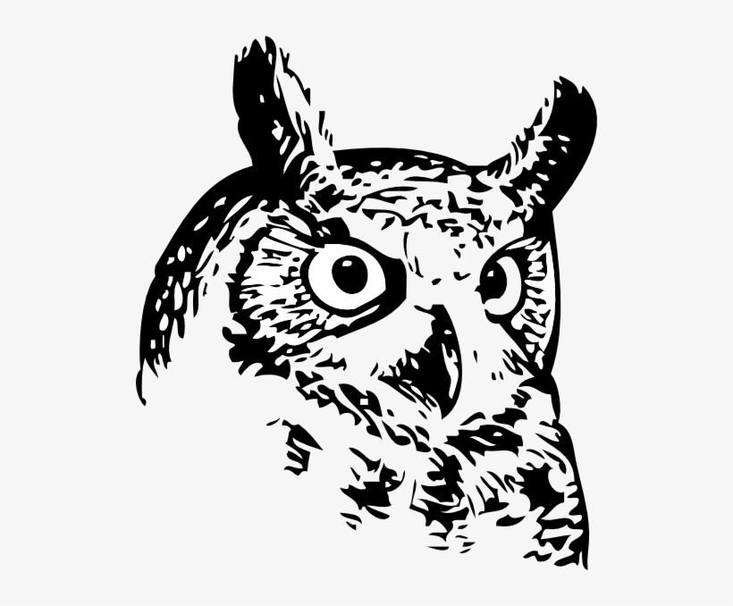 Owl Line Art, transparent png