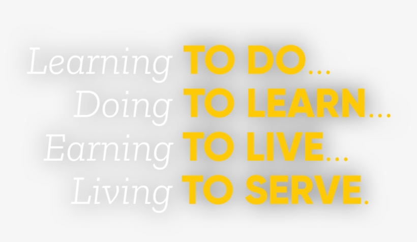 Opp1 Text - Orange, transparent png