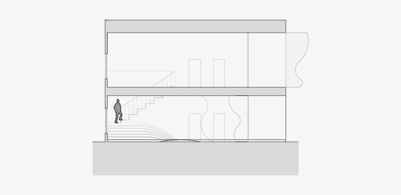 Human Figures Are Used To Help Distinguish A Sense, transparent png
