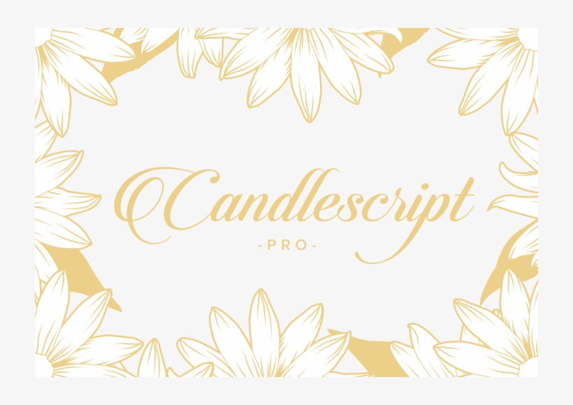 Burgues Script Is Delicate Yet Ornate, Offering Contextual - Chamber Music / Various (includes Dvd), transparent png