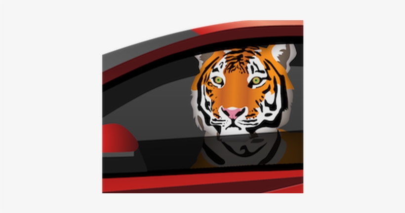 Con Tantas Historias Sobre Árabes Multimillonarios - Bengal Tiger, transparent png