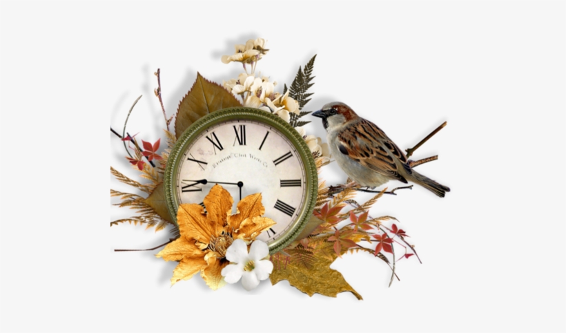 Tubes Images Png - His Eye Is On The Sparrow: 365-day Devotional, transparent png